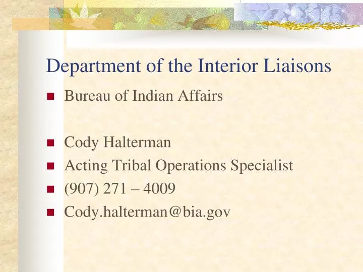 department of the interior liaisons