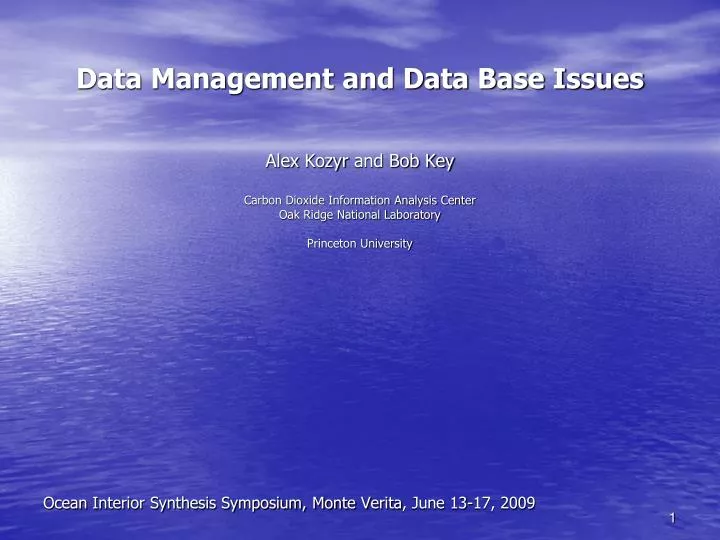 data management and data base issues