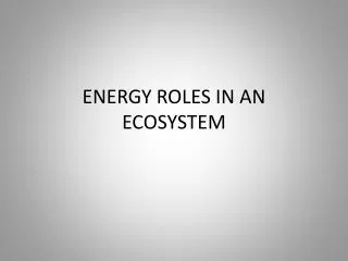 energy roles in an ecosystem