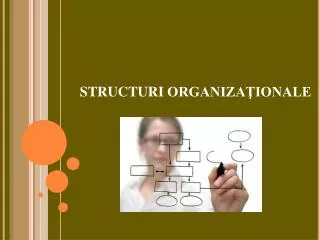 structuri organiza ionale
