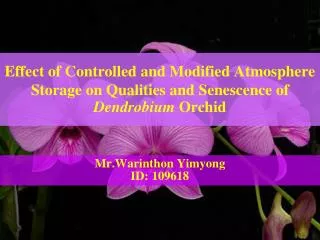 Mr.Warinthon Yimyong ID: 109618