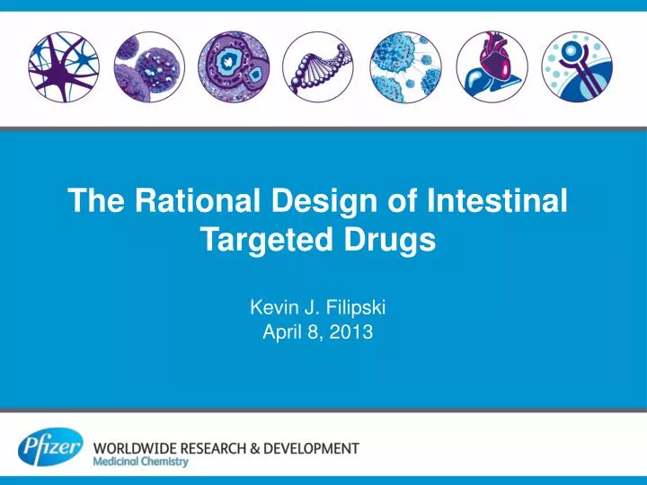 the rational design of intestinal targeted drugs