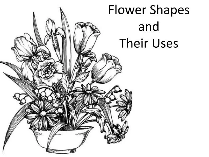 flower shapes and their uses