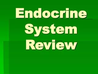 Endocrine System Review