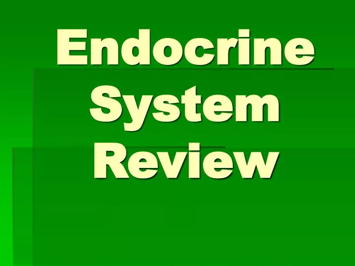 endocrine system review