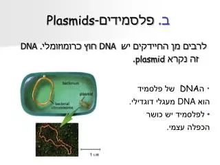 plasmids