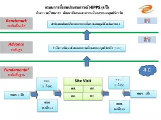 hipps 8