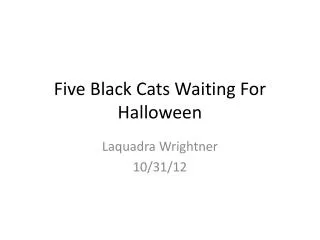 Five Black Cats Waiting For Halloween