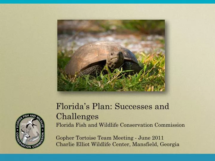 florida s plan successes and challenges