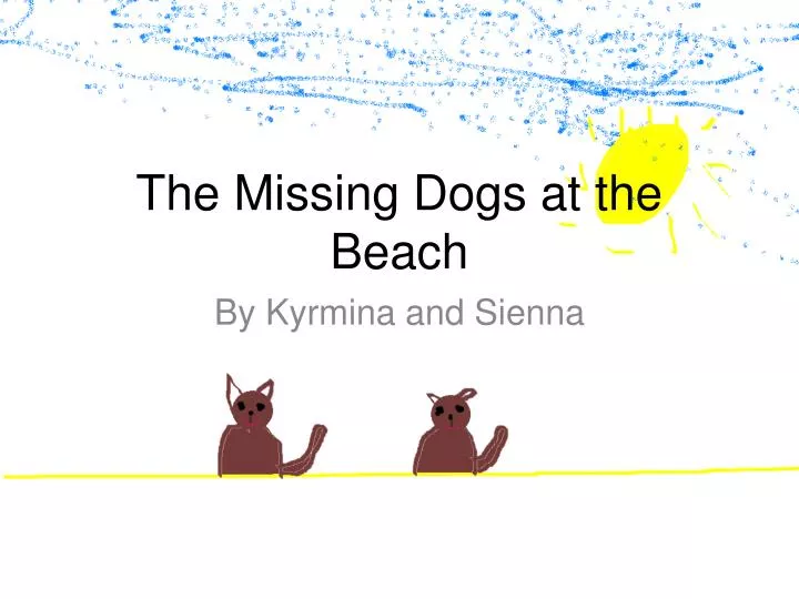 the missing dogs at the beach