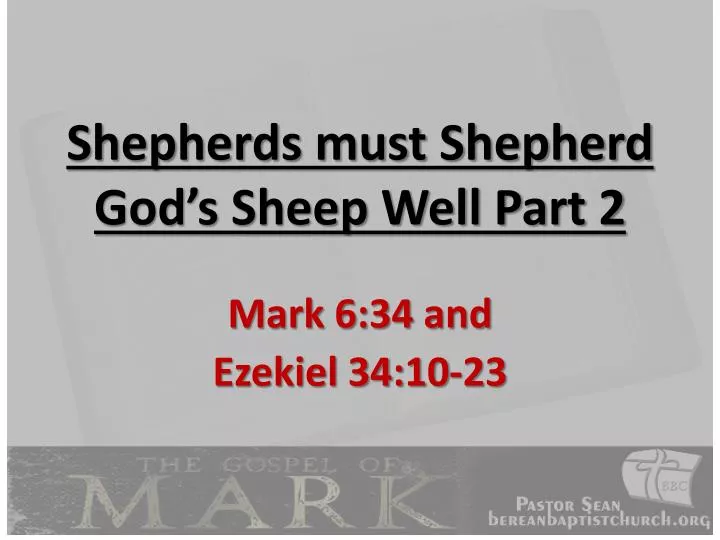 shepherds must shepherd god s sheep well part 2