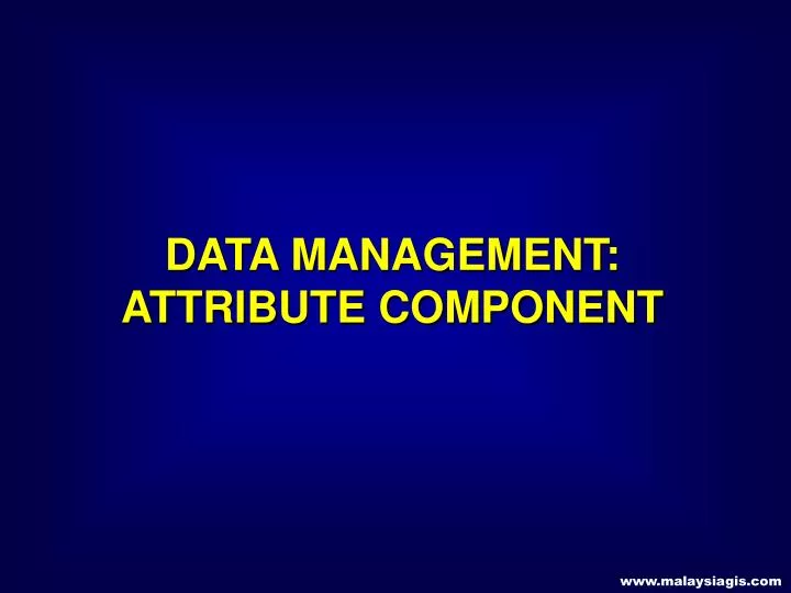 data management attribute component