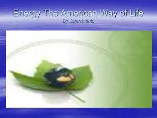 Energy The American Way of Life By Karen Morris