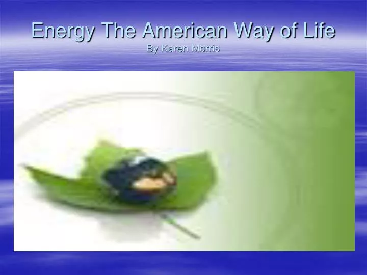 energy the american way of life by karen morris