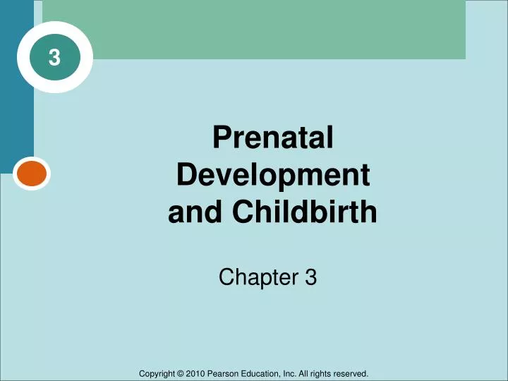 prenatal development and childbirth