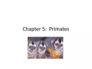 Chapter 5: Primates