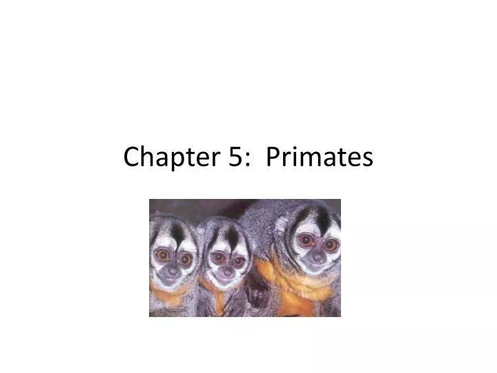 chapter 5 primates