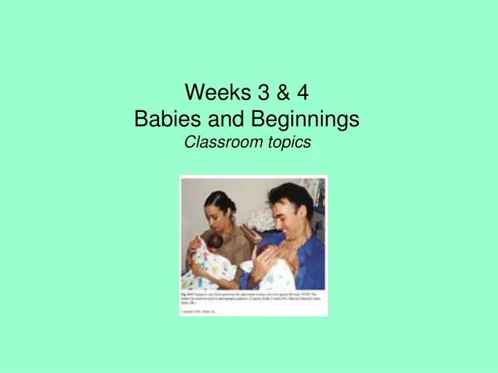 weeks 3 4 babies and beginnings classroom topics
