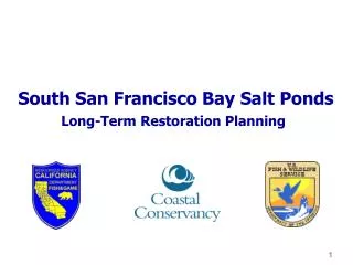 South San Francisco Bay Salt Ponds Long-Term Restoration Planning