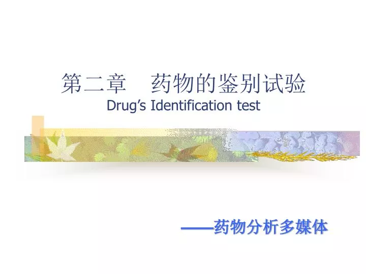 drug s identification test