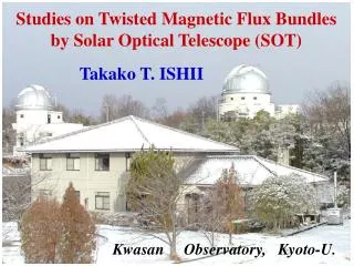 Studies on Twisted Magnetic Flux Bundles by Solar Optical Telescope (SOT)