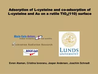 Adsorption of L-cysteine and co-adsorption of L-cysteine and Au on a rutile TiO 2 (110) surface