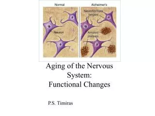 Aging of the Nervous System: Functional Changes