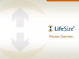 Process Overview