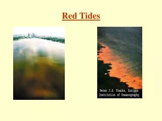 Red Tides