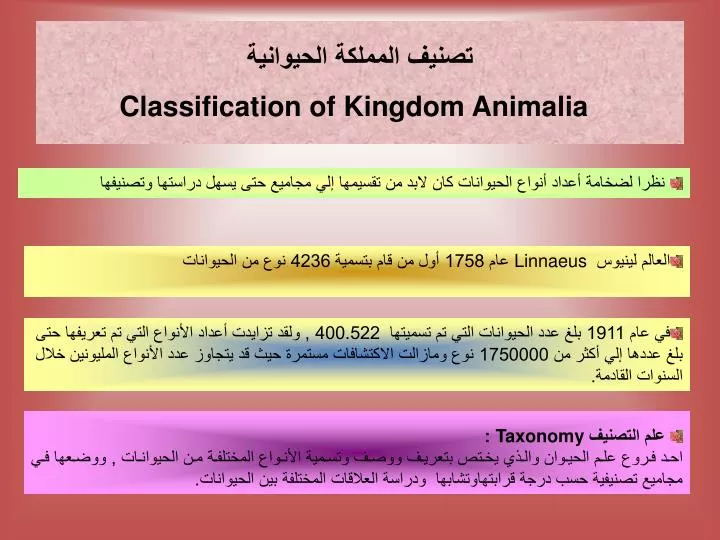 classification of kingdom animalia