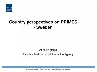 Country perspectives on PRIMES - Sweden