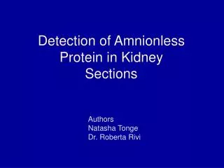 Detection of Amnionless Protein in Kidney Sections
