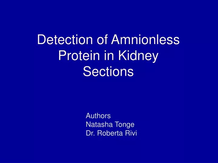 detection of amnionless protein in kidney sections