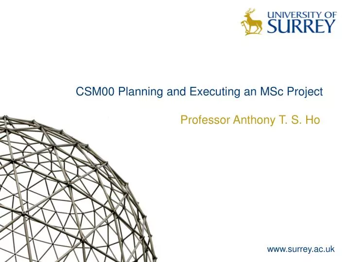 csm00 planning and executing an msc project