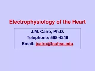 Electrophysiology of the Heart