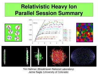 Relativistic Heavy Ion Parallel Session Summary