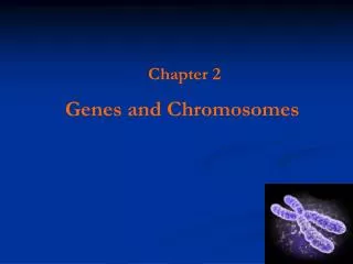 Chapter 2 Genes and Chromosomes