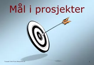 m l i prosjekter