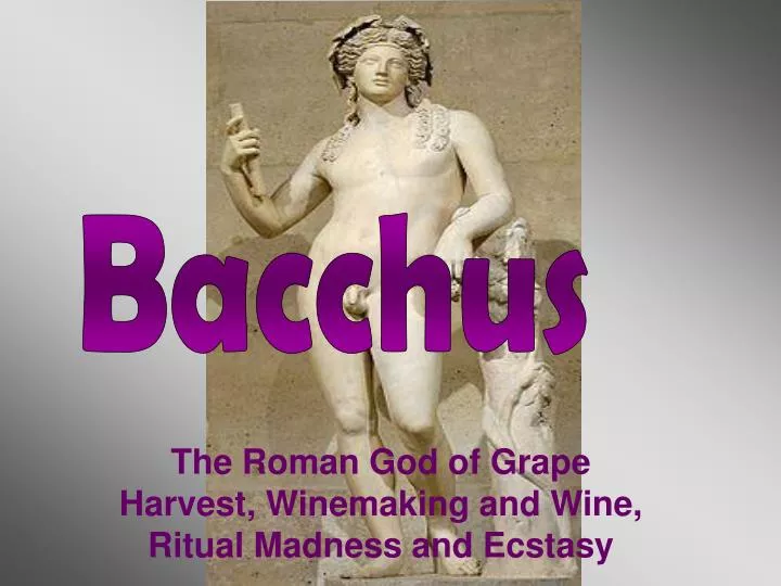 the roman god of grape harvest winemaking and wine ritual madness and ecstasy