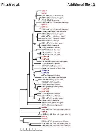 pitsch et al additional file 10