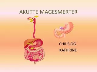 akutte magesmerter