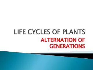 LIFE CYCLES OF PLANTS