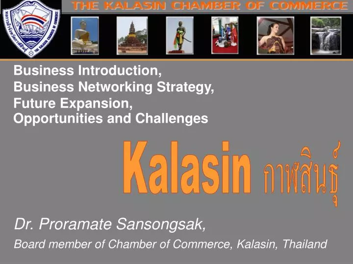 business introduction business networking strategy future expansion opportunities and challenges
