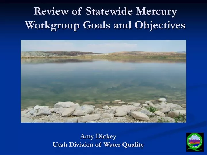 review of statewide mercury workgroup goals and objectives
