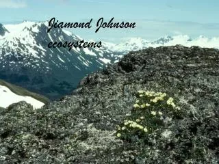 Jiamond J ohnson ecosystems