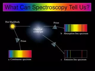 What Can Spectroscopy Tell Us?