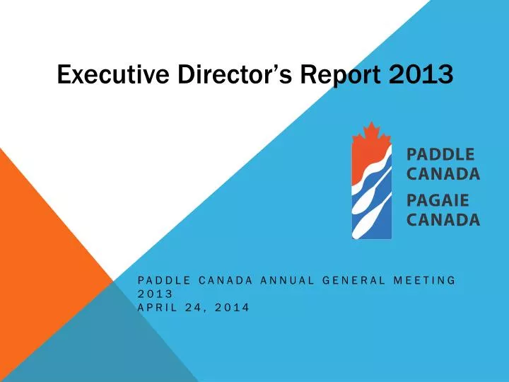 executive director s report 2013