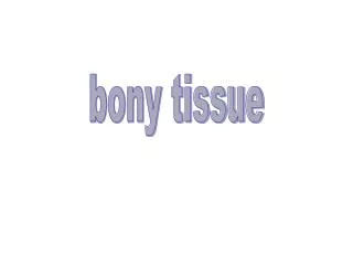 bony tissue