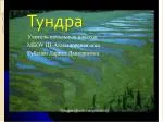 Тундра - slide 1