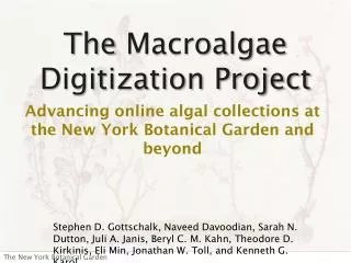 The Macroalgae Digitization Project
